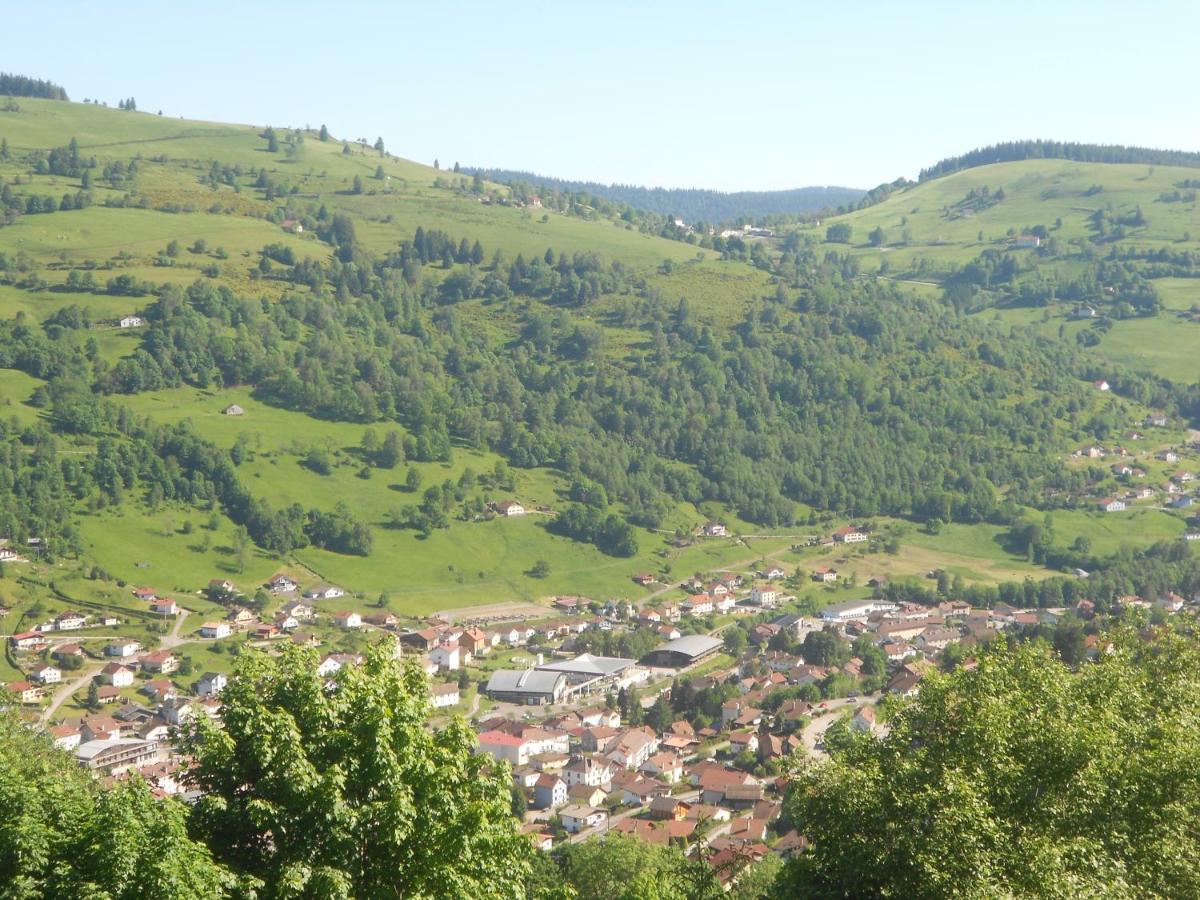 Bouton D Or Apartman La Bresse Kültér fotó