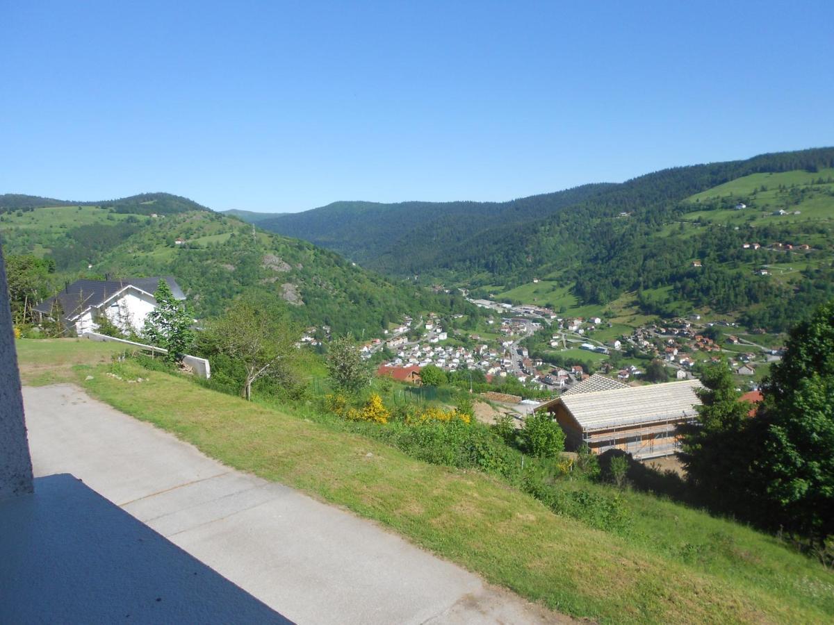 Bouton D Or Apartman La Bresse Kültér fotó