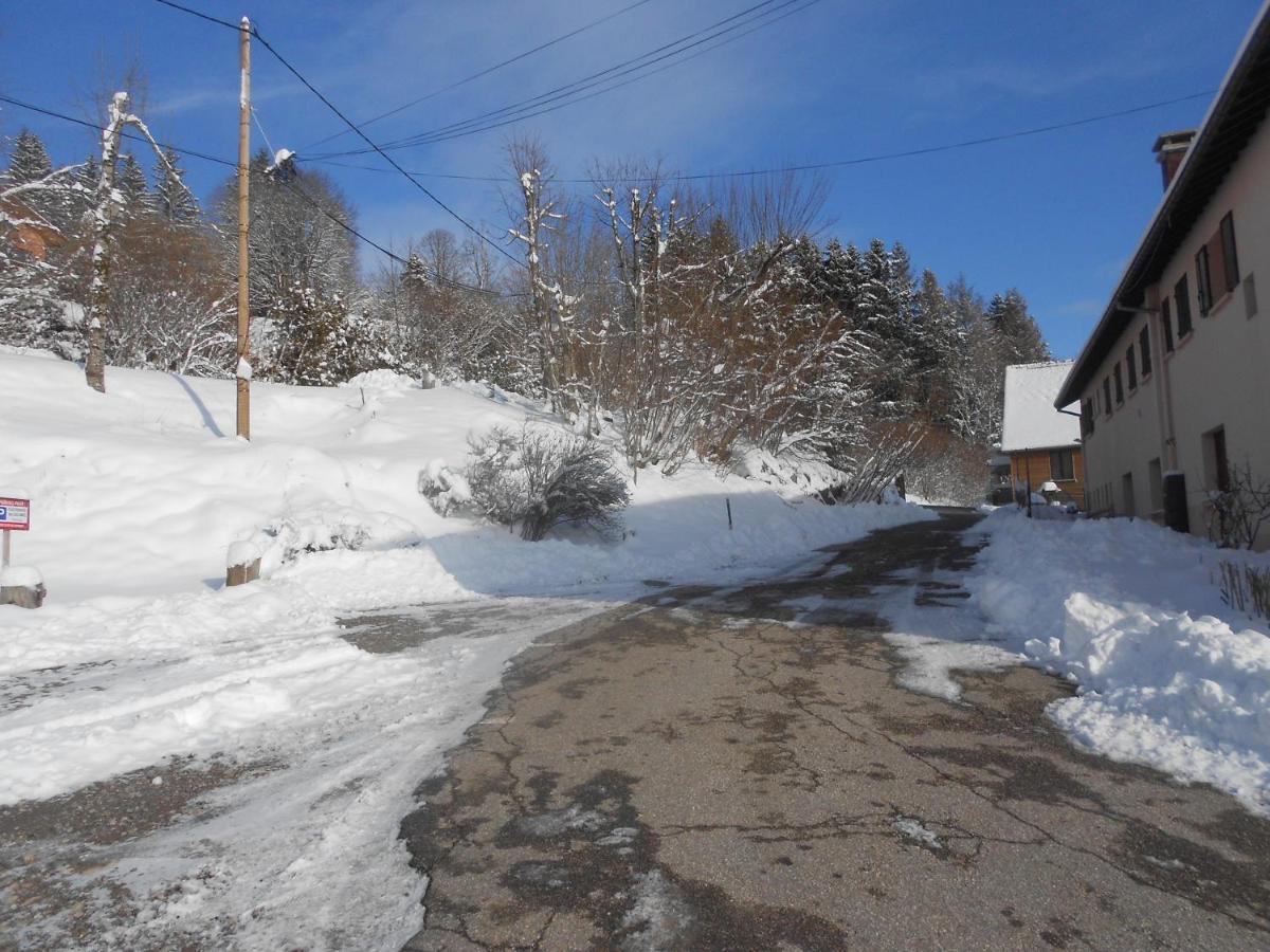 Bouton D Or Apartman La Bresse Kültér fotó